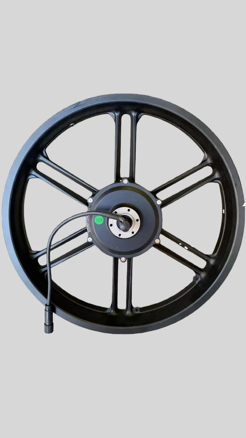 Cerchione Posteriore con Motore ruota Originale per ENGWE X20