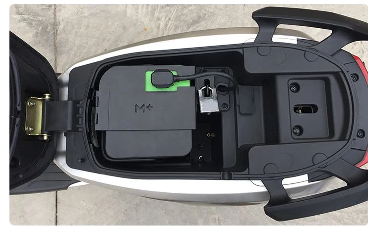 Anti-theft plate for MQi+