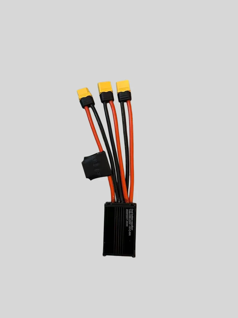 Equalizzatore a doppia batteria 48V 30A connettore XT60 per ENGWE M1 e Altri