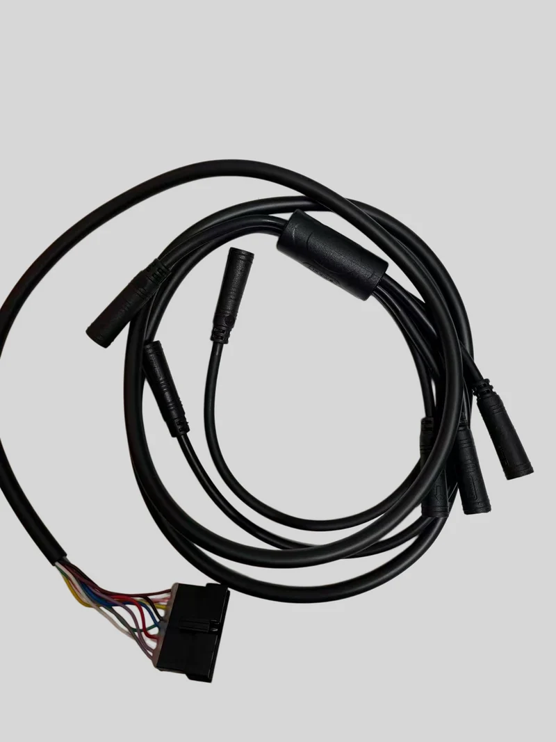 Cablaggio per bicicletta elettrica ENGWE M1