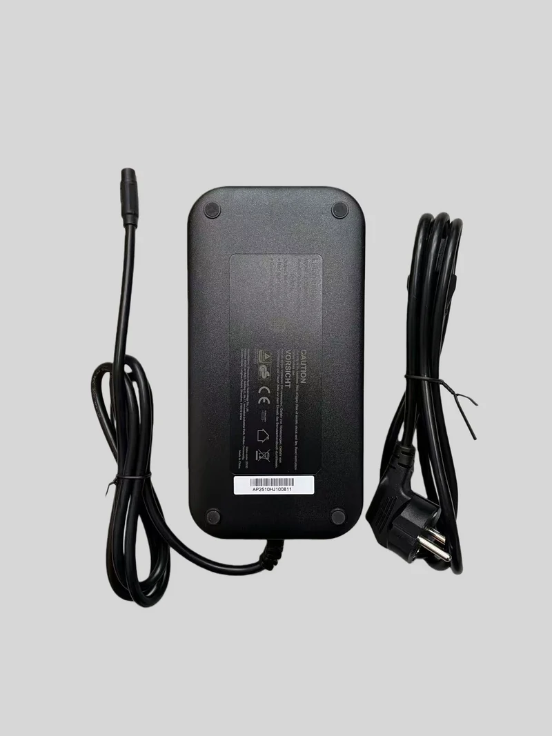 Carica batteria 54.6V 4.5A Originale per bicicletta elettrica ENGWE EP-2 3.0 Boost