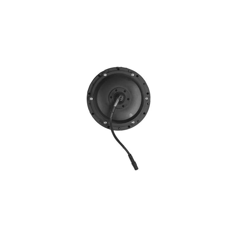 Motore Originale per bicicletta elettrica FIIDO C11/C11 Pro