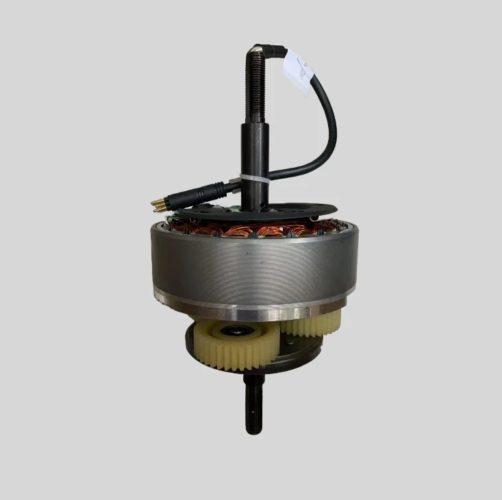 Motore Originale ENGWE Ep-2 Pro (Versione motore GT e XD)