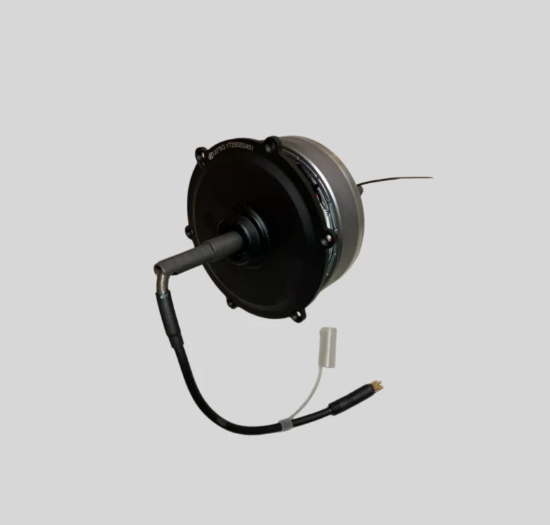 Motore Originale ENGWE Ep-2 Pro (Versione motore H)