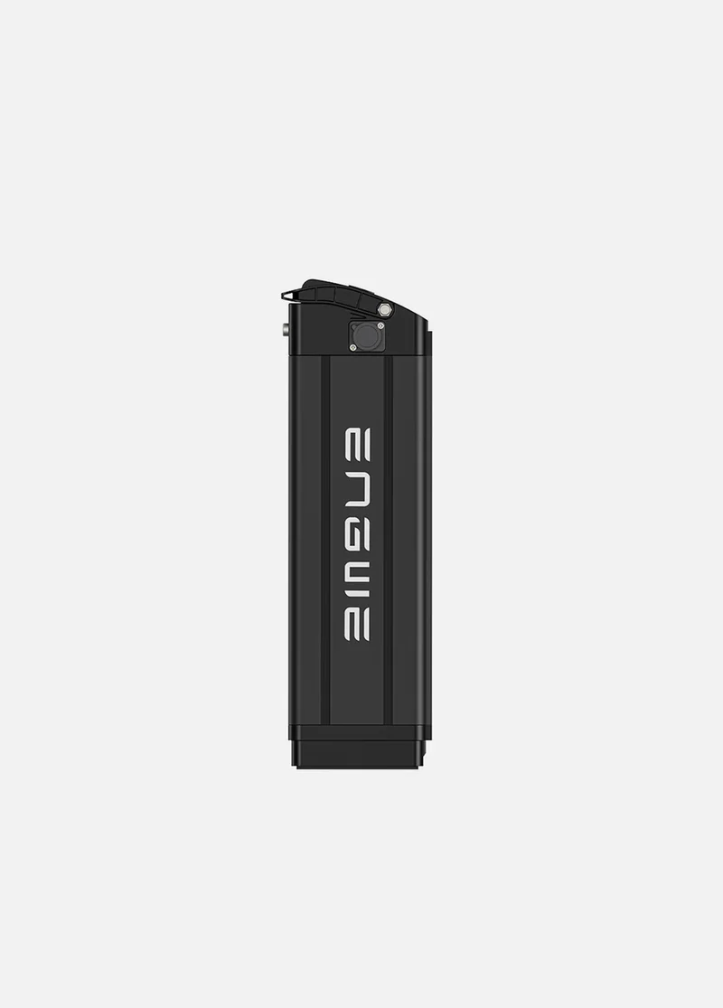 Batteria ENGWE Originale 48V 13Ah solo per Engwe L20/L20 BOOST