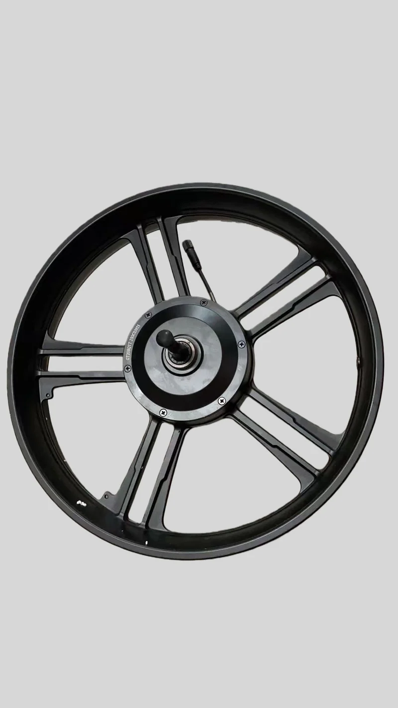 Cerchione Posteriore con Motore ruota Originale per ENGWE M20