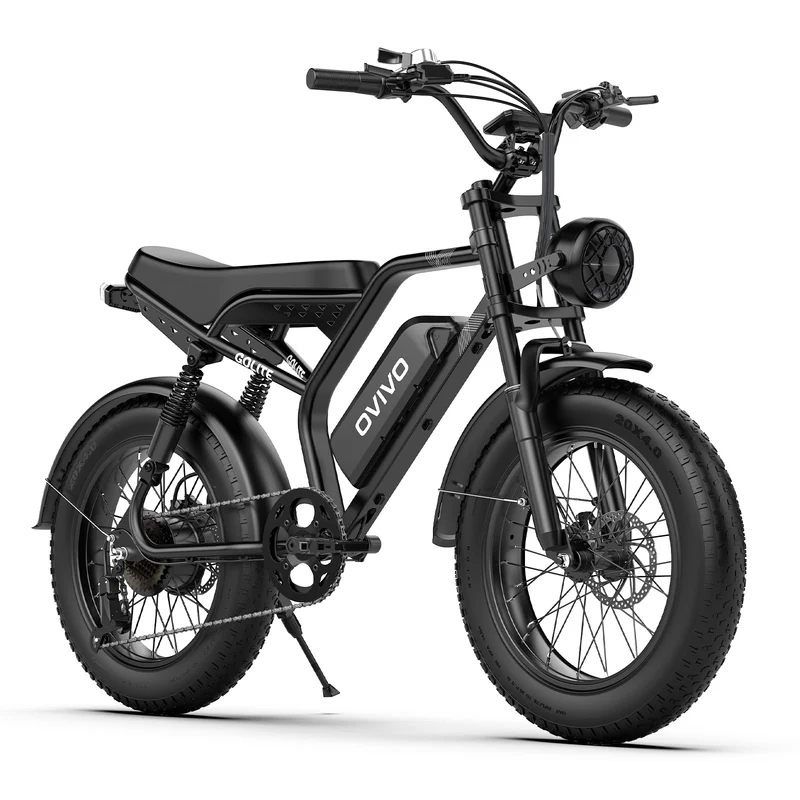 OVIVO GO LITE | Bicicletta Elettrica | Versatile | Motore BAFANG 250W | 48V 20Ah | Freni Idraulici | 25km/h | Autonomia 100-120Km | GARANZIA ITALIANA