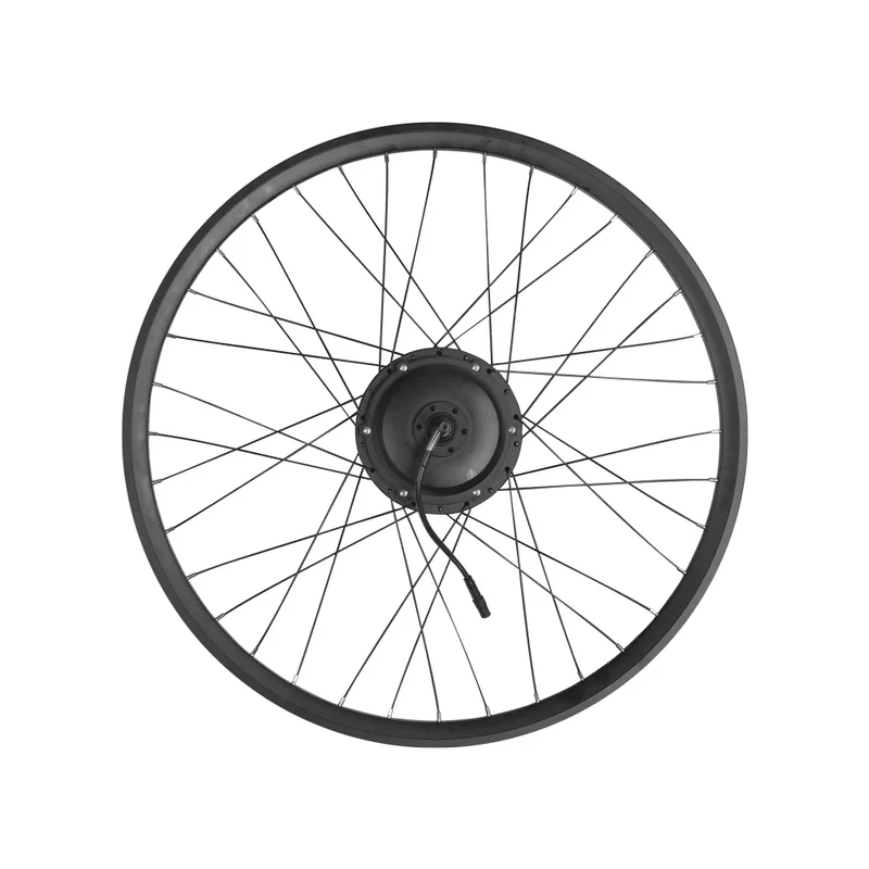Cerchione Posteriore con Motore ruota Originale per C11 Pro