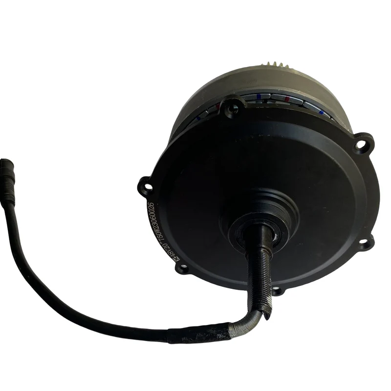 Motore Originale (Versione motore XD e GT) ENGWE Ep-2 Pro