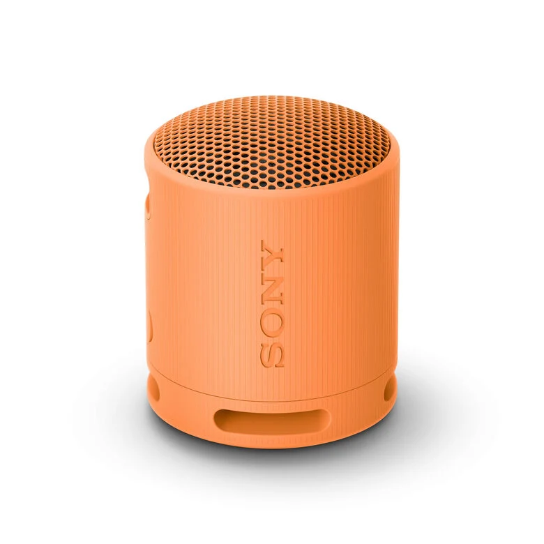 Sony SRS-XB100 - Speaker Wireless Bluetooth, portatile, leggero, compatto, da esterno, da viaggio, resistente IP67 impermeabile e antipolvere, batteria da 16 ore, cinturino versatile, chiama