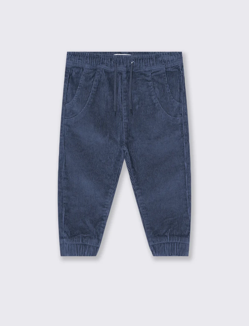 Pantaloni a costine - Blu